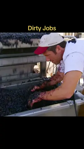 Dirty Jobs #dirtyjobs #relax #fy #show 