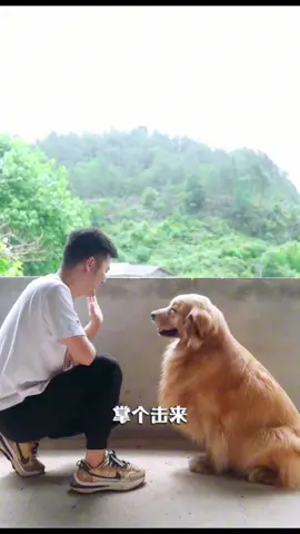 Dog and owner coordinate 😁#smartdog #funny #dogsoftiktok #dog #fypシ゚viral #xuhuong 