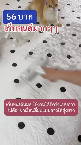รุ่นนี้เก็บขนดีมากกกกกก รีวิวเลื่องลือสุดๆ ใครยังไม่ลอง ต้องลอง บอกเลย มันดีมว๊ากกกก #เก็บขนแมว #เก็บขนแมวในบ้านตามที่นอน 