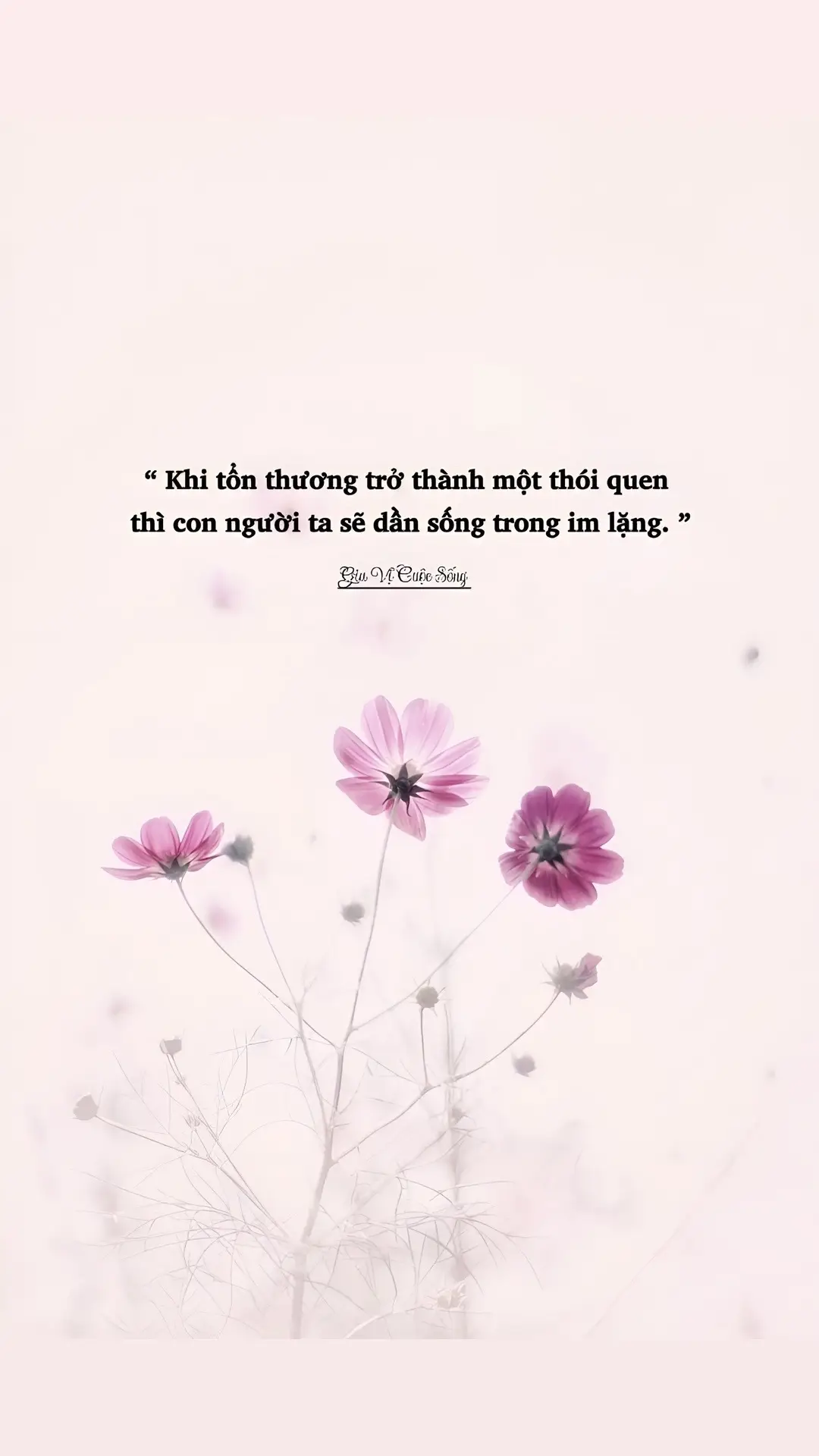 Khi tổn thương trở thành thói quen, thì con người ta sẽ dần sống trong im lặng … #caunoihaytrongcuocsong #caunoihaymoingay🌼 #nhungcaunoihayynghicuocsong #nhungcaunoihayvaynghia #nhungcaunoihay #trichdanhay #giavicuocsong #caphay 