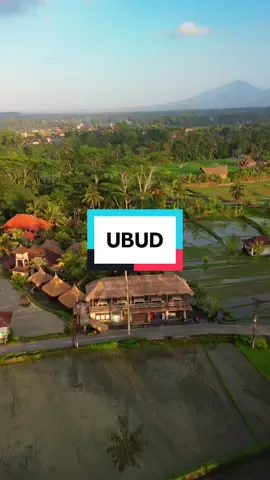 📍Ubud, Bali #🇮🇩 #indonesia #dronevideo #drone #DJI #djimini3pro #dronelife #CapCut #fy #cinematic #video #voorjou #untukmu #ricefields #ricefieldview #bali #island #ubud #kastararesortubud 