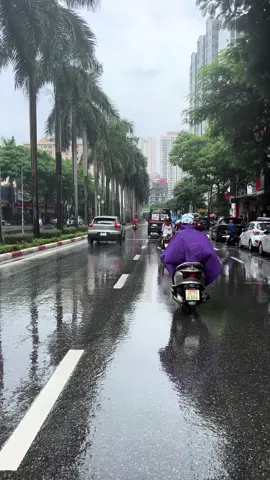 Đôi khi thứ ta cần không phải là một chiếc ô vào một ngày mưa tầm tã, mà là ai đó sẽ đi cùng ta dưới cơn mưa ấy.! #langthanghanoi #mua #xh #xuhuongtiktok 
