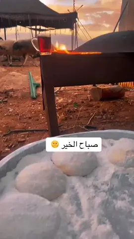 #صباح_الخير #الزيتة#الزيتة #تبوك 