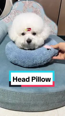 Get this Head Supporting Pillow to let your dog doze off in peace!!🐶💤