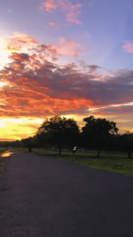 Rekomendasi tempat sunset dibanyuwangi, dibaluran kalian juga bisa nikmatin sunset yang indah ini✨ #baluran #tamannasionalbaluran  #balurannationalpark #baluranbanyuwangi #banyuwangitourism #banyuwangi_punya #banyuwangitiktok 