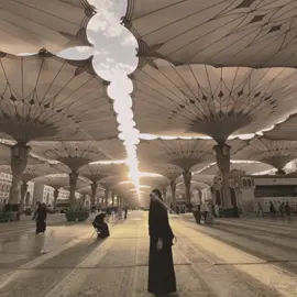 #CapCut still my favorite photo🕊️🕊️🕊️🕊️🕊️🕊️🕊️🕊️🕊️🕊️🕊️🕊️🕊️#favorite #photo #picture #best #shoot #umrah #2023❤😍 #jalan #ziarah 