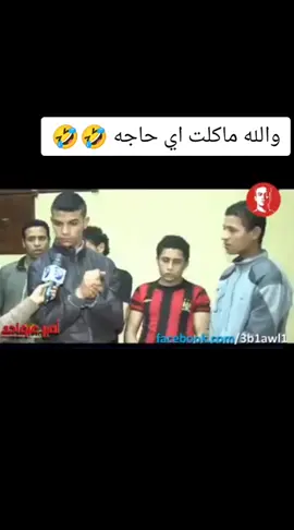 #يامصطفي_يا_مصطفي #والله_ماكلت_اي_حاجه#حلاوة_المولد😂♥️♥️ 
