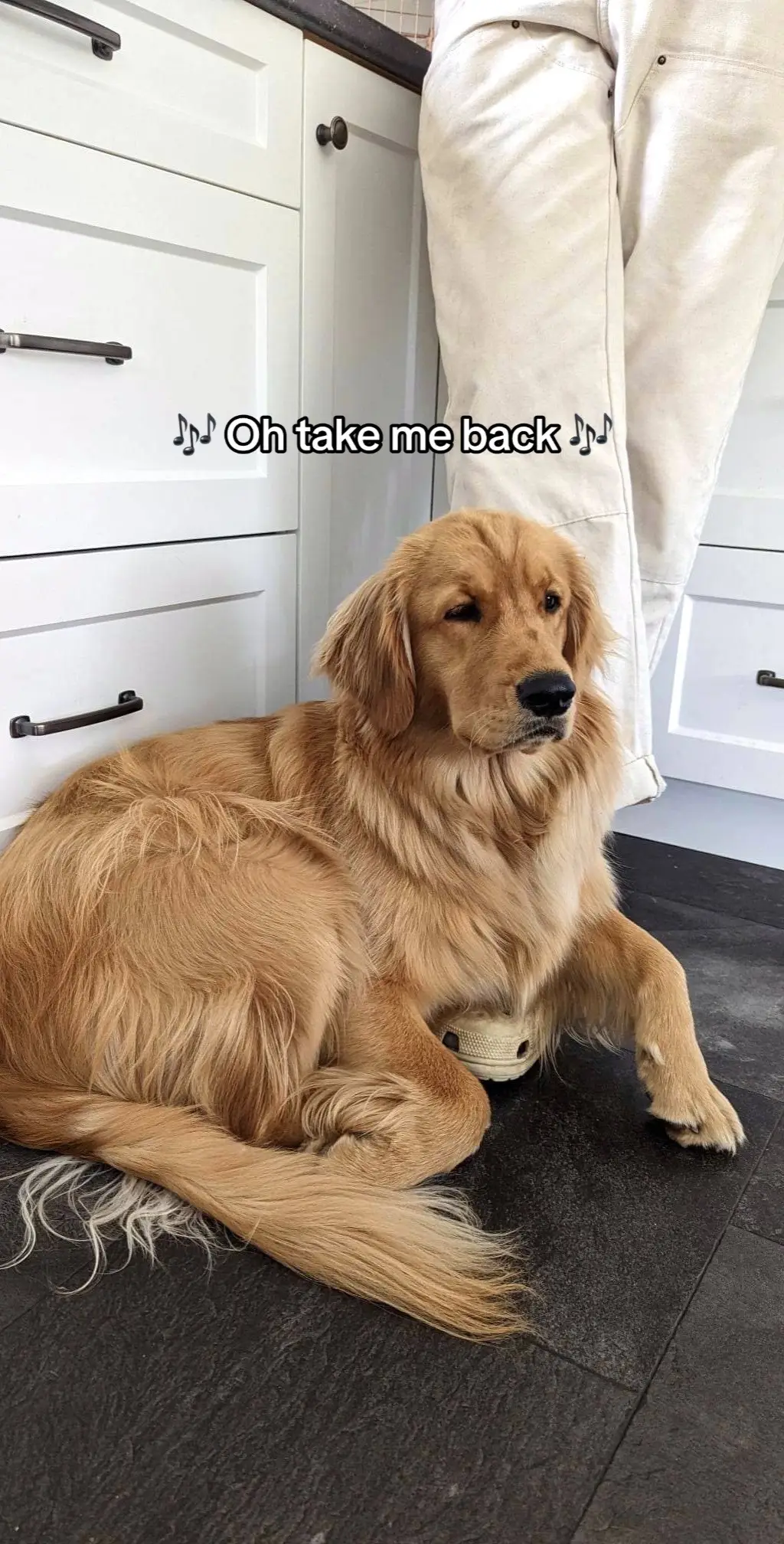 Why does it have to go by so fast 😭 #puppytiktok #goldenretriever #dogs 