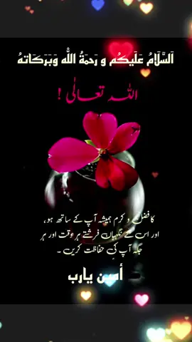 #dua🤲#ameen#pageforyou_🔥trending❤️video #unfrezzmyaccount #pageforyou_🇵🇰🇺🇸 