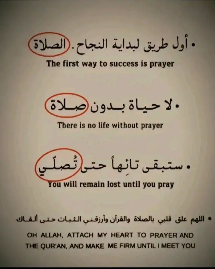 #المنتصر_بالله_محمد #أسمع_جزاك_الله_خير🗣🎧 @♕𓆩إطمئنان𓆪♕ @«المنتصر بالله» ® محمد® 