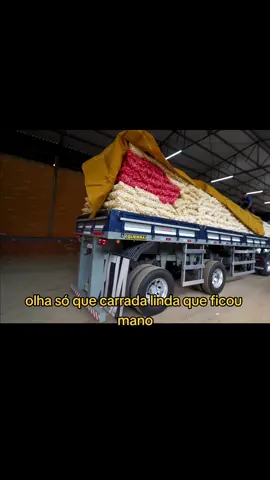 Que carrada linda 😍 #brunogarciayt #caminhao #truck #volvo #foryou #explor 