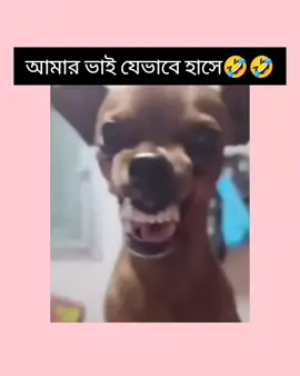 মেনশন করুন আপনার ভাইকে🤣 #funnyvideos #statusvideo #viralvideo #tiktok #foryouhouse #fypシ #foryoupage #viral 