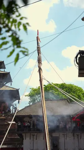 Yosin Thanegu marks the start of Indra-jatra, the best time of the year. #2080 #indrajatra #fyp 