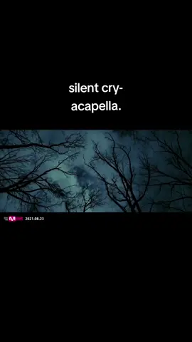 silent cry-acapella ( only at the beginning of the video is there music, then only voices are heard)#skz #acapella #silentcryskz #stay #kpop #kpopfyp #straykids #fyp 