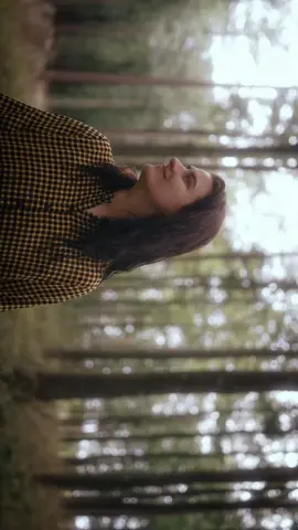 Forest walks 🌿 #filmmaker #cinematography #cinematic #colorgrade #grading #film 