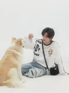 golden retriever with his border collie #jake #simjaeyun #jakeenhypen #enhypen #enhypenedit #foryou #fyp #fypシ 
