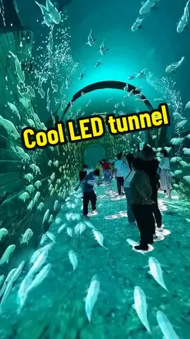 Cool LED tunnel #led 