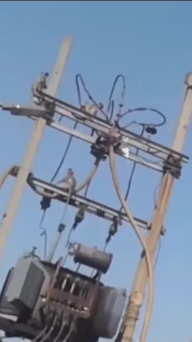 #Monkeys  vs #electricity
