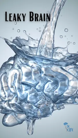Most people know how important it is to address a #leakygut, but it's equally if not more important to address a permeable blood brain barrier aka #leakybrain. The blood-brain barrier is a protective laver in the #circulatorvsstem of vour brain, serving to filter and block harmful substances while allowing beneficial nutrients to pass into the brain and cellular debris to pass out. The brains protective barrier keeps pollutants, toxins, circulating antibodies, and dietary proteins out.  #leakygut #leakybrain #bloodbrainbarrier #bloodbrainbarrierpermeability #neuro #functionalneurology #brainhealth #brainfog #neurologicalsymptoms 