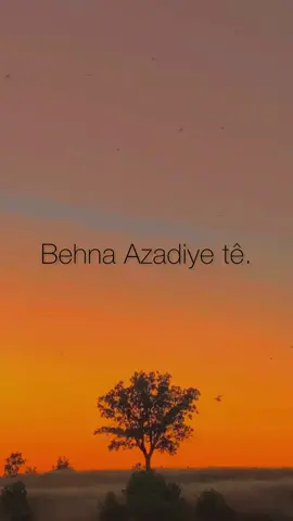 Behna Azadiye Tê. 🧡 #hozandino #behnaazadiyete #welat #dengekurdiiii #merdin #kewok 
