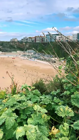 Beer garden views #newquay #tolcarne #beach #cornwal #amazingcornwall 