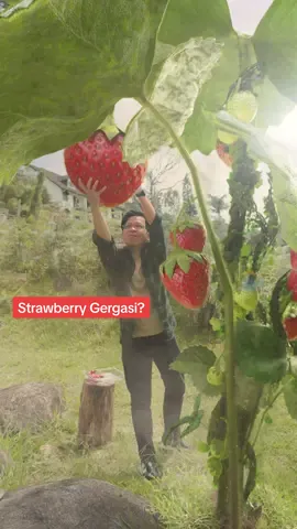 Cuba eja strawberry tanpa tengok phone, saya cuba dapat yang ni STRAWBEERY. Korang dapat eja betul tak? #9forstvid #strawberry 