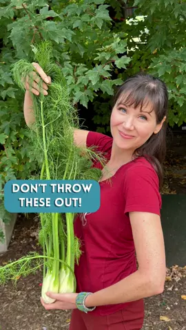 Did you know that those beautiful fennel fronds some people toss in the compost can actually offer a ton of health benefits? 😲⁠ #fennel #foodscraps #compostfood #nofoodwaste 