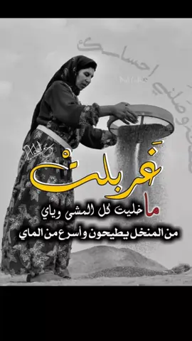رعد الناصري غربيل وطحت بيهم #سيريانو16 #السعوديه #سوريا #العراق #لبنان #الشعب_الصيني_ماله_حل😂😂 #لقطه_فائقه_الثبات💔🥀🖤 #fyp #fyp