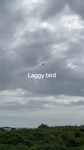 🤔🦅 #glitchinthematrix #glitches #glitchesinreallife #laggy #lagging #lagginginreallife #foryou 