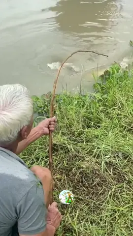 Uma História Real de um Pescador  #pescariaraiz #pescariacaipira #pescariadetraira #pescarias #pescahumor 