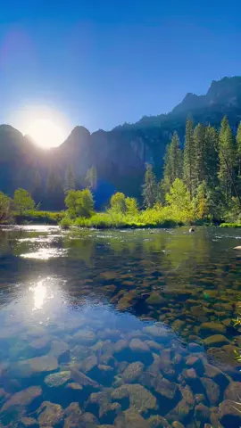 The Valley view sunrise in Yosemite is one of the most captivating I’ve experienced ⛰️🌤️💧🌳 #yosemite #sunrise #california #yosemitenationalpark #Hiking #travel #mountain #river #realestate 