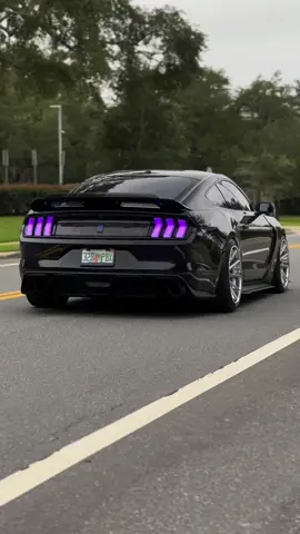 Interested in buying these taillights?! Purchase them from @s550euros and use code TUFF 🙌 #mustang #s550mustang #ford #fordmustang #carbonfiber #euros #roush #ferrada #cobra #rgblights #steeda 