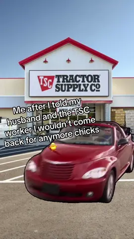 #ChickenMath amaright? 😅🐓          #tractorsupply #chickens #chickenmom #homestead 
