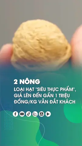 Hạt óc chó và những lợi ích tuyệt vời! #2nong #xuhuong #tintuc