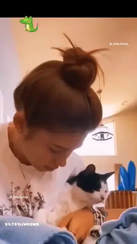 The last one 🤣🤣 #dog  #cat #pet #cute #animals #funny #fyp #foryou 