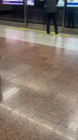 #cat #cute 
