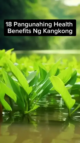 #viral #fypシ #health#benefits #kangkong