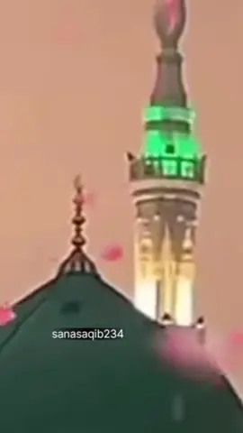 Yah Jashne Habibi Khuda ho raha hai. | beautiful 🌹❤️🌹 | Madina 🌹❤️ #urdustatus #islamicstatus #shortsstatus #sanasaqib234 #Bukhari Sharif #Hadees  #quran  #quran recitation   #muslim songs  #muslim prayer  #Aqwal e Zareen in Urdu  #Aqwal e Zareen  #beautiful #Quran recitation   #golden words  #hadees  #quran tilawat #Pakistan 🇵🇰#islamicprayer #islamicvideo #poetry #islamicstaus #Allah #urdu #islam #forupage #foru #God #Islamicvideo #hamaraparcham #good 