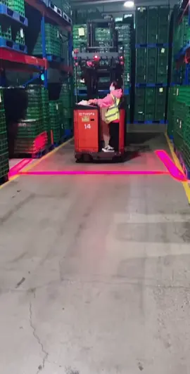 This is a dream job!