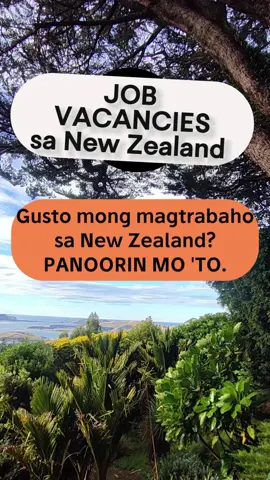 JOB VACANCIES IN NEW ZEALAND #JOB #jobs #employment #WORK #jobsearch #ofw #PILIPINO #philippinestiktok #philippines #newzealand  @everyone