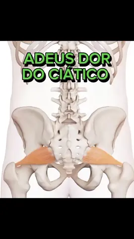 Para as dores do ciático! #nervociatico #nervociaticoinflamado #dornociatico #ciaticoinflamado #ciatico #ciaticonemsabia 