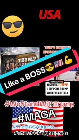 #duet with @GenXandproud💪🏽 #weriseagainst #greenscreen #fyp #fypシ゚viral #themagatigress #themaganighttigress #bannedfamreloaded #TRUMP2024 #TrumpismyPresident #republicansoftiktok #WeStandWithTrump #FJB #bidencrimefamilywillend #MAGA #TrumpTrain #DonaldTrump 