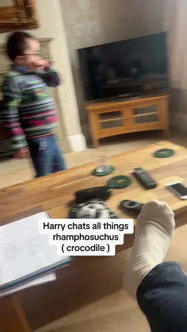#rhamphosuchus #crocodile #dinosaur #harrychat #disability #lesson #amazingmemory 