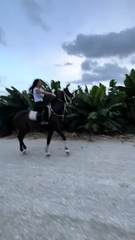 #Love #loveyou #heart #horse #horsesoftiktok #horseriding #trend #trending #trendingsong #trendingvideo #tiktokindia #😍 #🤍 #مشاهير_تيك_توك #خيل #خيل #خيل_وخياله🐎 #لايك #ليبيا #خيل_وخياله🐎 #لايك #ليبيا #لبنان #مصر #ترند #فولو #اكسبلورexplore #السعودية #الشعب_الصيني_ماله_حل😂😂 #العراق #اكسبلورر #دويتو #f #fyp #foryou #foryoupage #fypシ #fy #foryourpage #fypage #fypシ #foryou #trend #explore #explor 