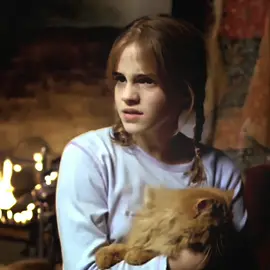 #hermionegranger #emmawatson #harrypotter 