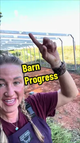 Exerting send to just be doing great and GROWING!!!!❤️❤️🐑🐑 #lambingseason #sheepfarmer #sheepfarm #sheep 