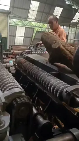 Turning trees into 2x4 lumber 