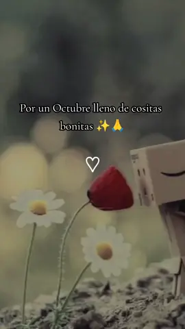 #CapCut #fypシ #estados #foryou #octubre🎃 #paratiiiiiiiiiiiiiiiiiiiiiiiiiiiiiii #tequieropami #llenodecosasbonitas 