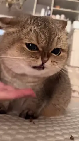 😋