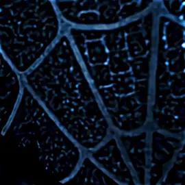 Tobey Maguire Spider-Man clips with CC #fyp #shorts #spiderman #tobeymaguire 